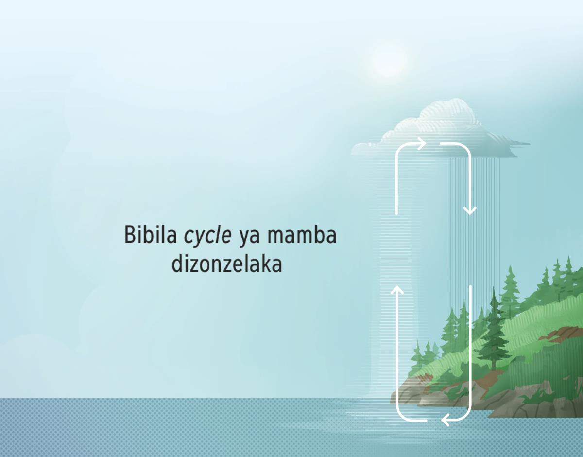 Bibila cycle ya mamba dizonzelaka. Flèches zita kwenda ku lukento tii ku lubakala, zita songela bwe mamba ma katukilaka ha mutoto mpe makwendaka mu zulu.