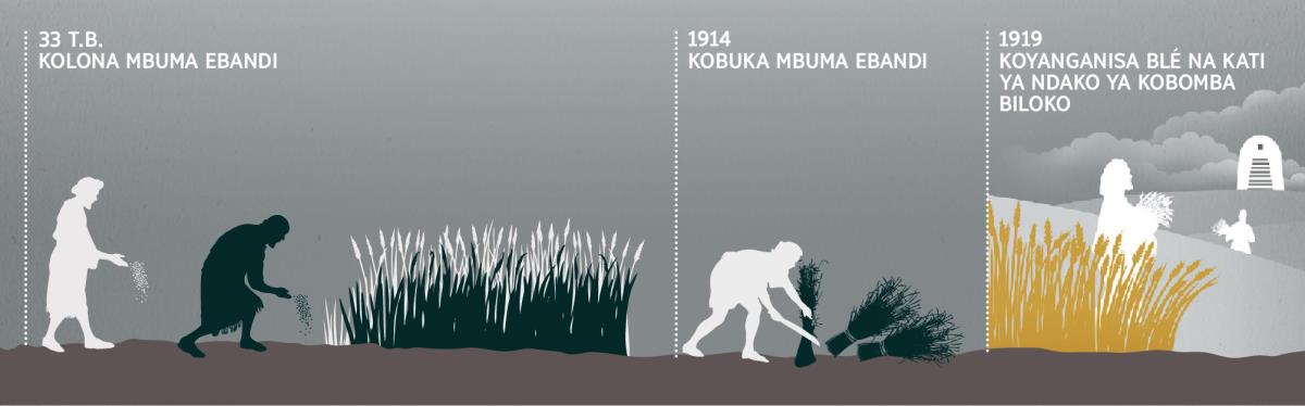 Eleko ya kolona, kobuka mbuma, mpe koyanganisa na kati ya ndako ya kobomba biloko
