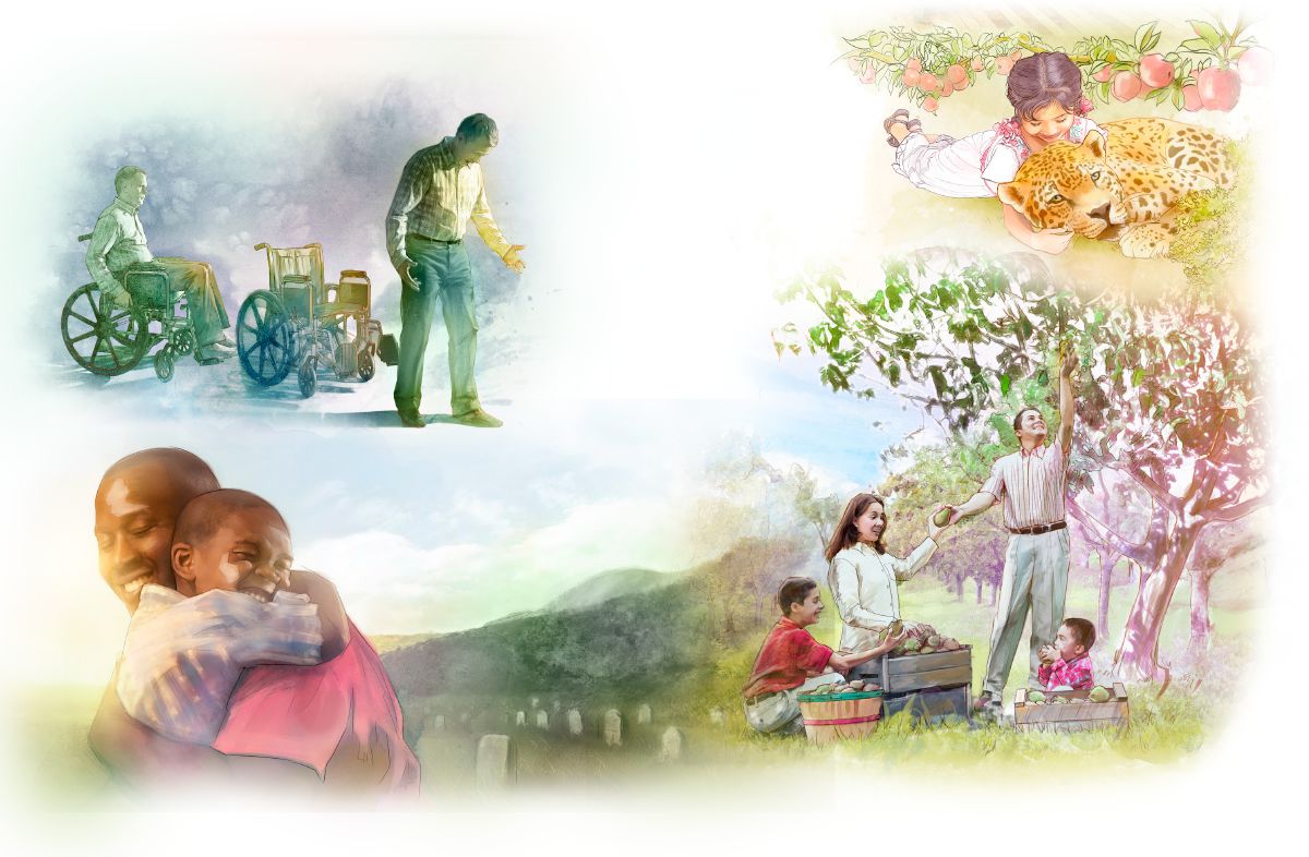 ຜູ້​ຊາຍ​ທີ່​ນັ່ງ​ລໍ້​ຍູ້​ຍ່າງ​ໄດ້, ເດັກ​ນ້ອຍ​ຜູ້​ຍິງ​ກອດ​ໂຕ​ເສືອ, ຄອບຄົວ​ໜຶ່ງ​ເກັບ​ໝາກ​ໄມ້, ຜູ້​ຄົນ​ຢູ່​ຮ່ວມ​ກັນ​ອີກ​ຄັ້ງ​ໃນ​ການ​ຟື້ນ​ຂຶ້ນ​ມາ​ຈາກ​ຕາຍ