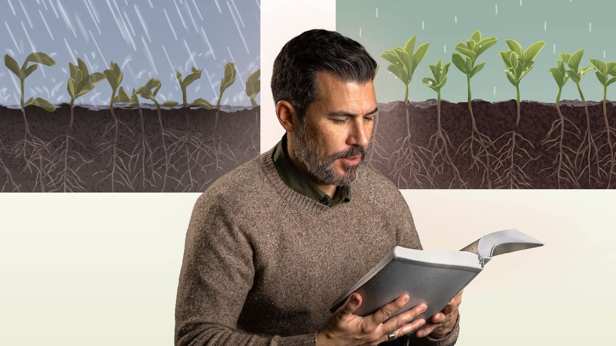 The brother reading the Bible. Collage: 1. Heavy rain falling and it make the ground too wet. So it make it hard for the plants to grow. 2. The rain not heavy, so it make it easy for the plants to grow good.