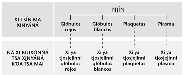 Tabla xi faʼaitʼa ya pájina 216