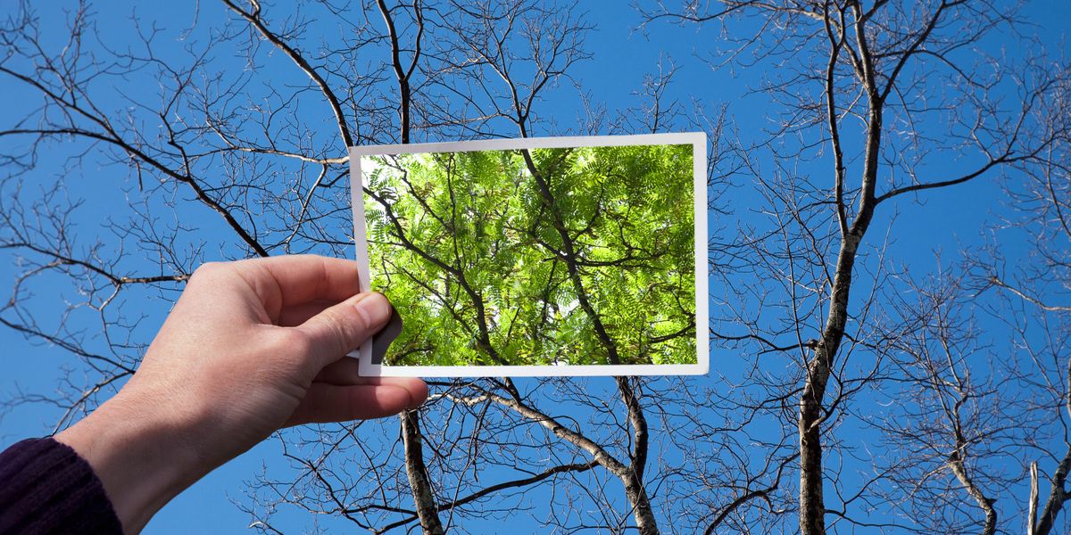 Jngo chjota xi jngo foto yʼa xi tsʼe jngo yá xi xka̱ tjínle kui kotsenle jngo yá xi ya séjna xi tsínle xka̱.