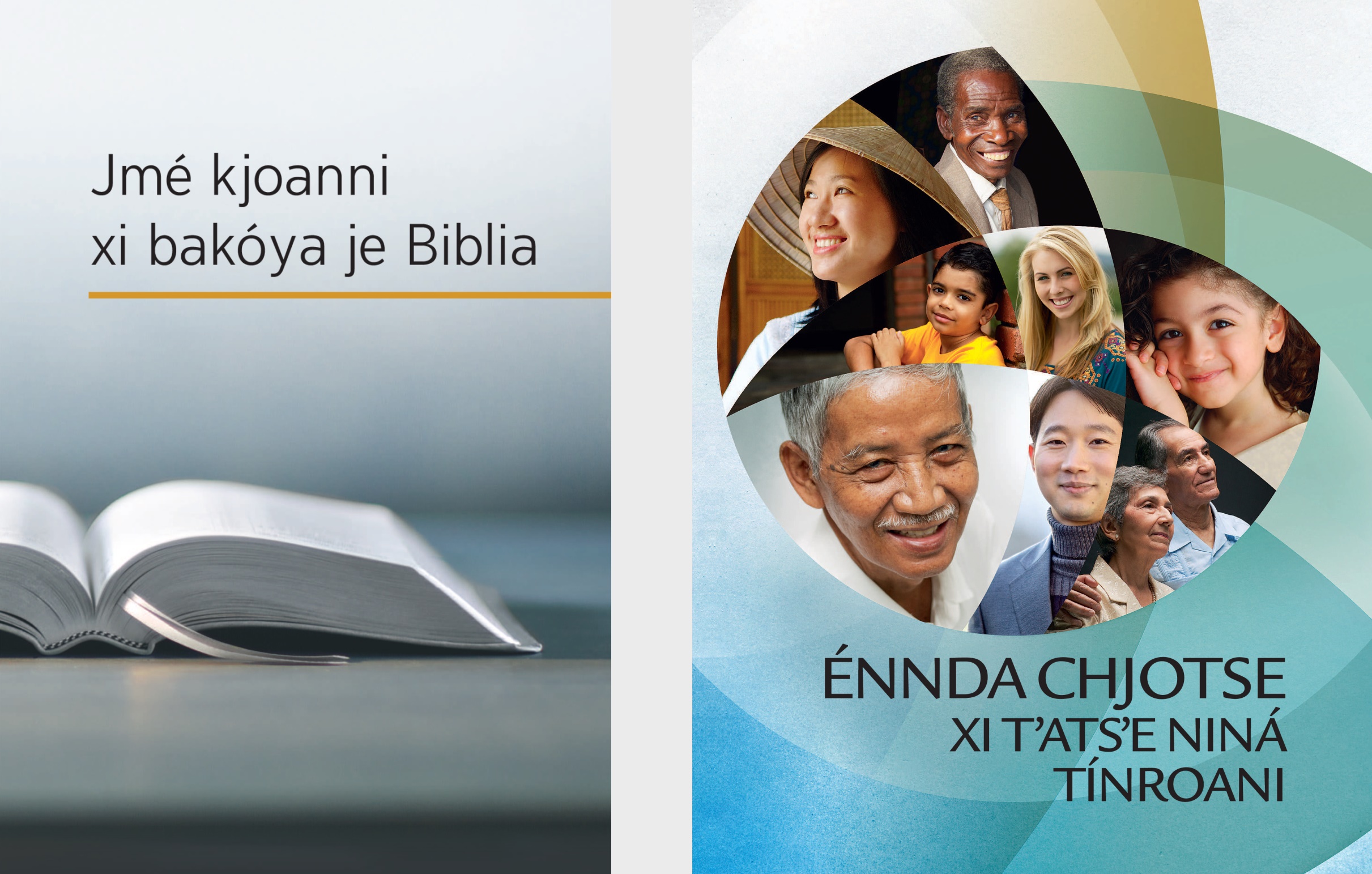 The book ‘What Can the Bible Teach Us?’ and the brochure ‘Good News From God!’