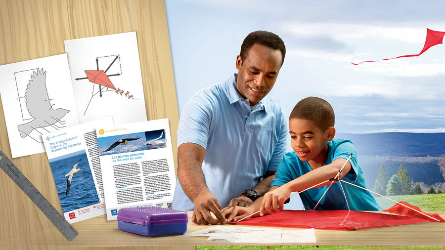 Jngoo papalote tjíosínda jngo nʼai kao tiʼndíle. Ya jto̱nni kjio je revista xi faʼaitʼa jñani tso: ¿Lo diseñó alguien.