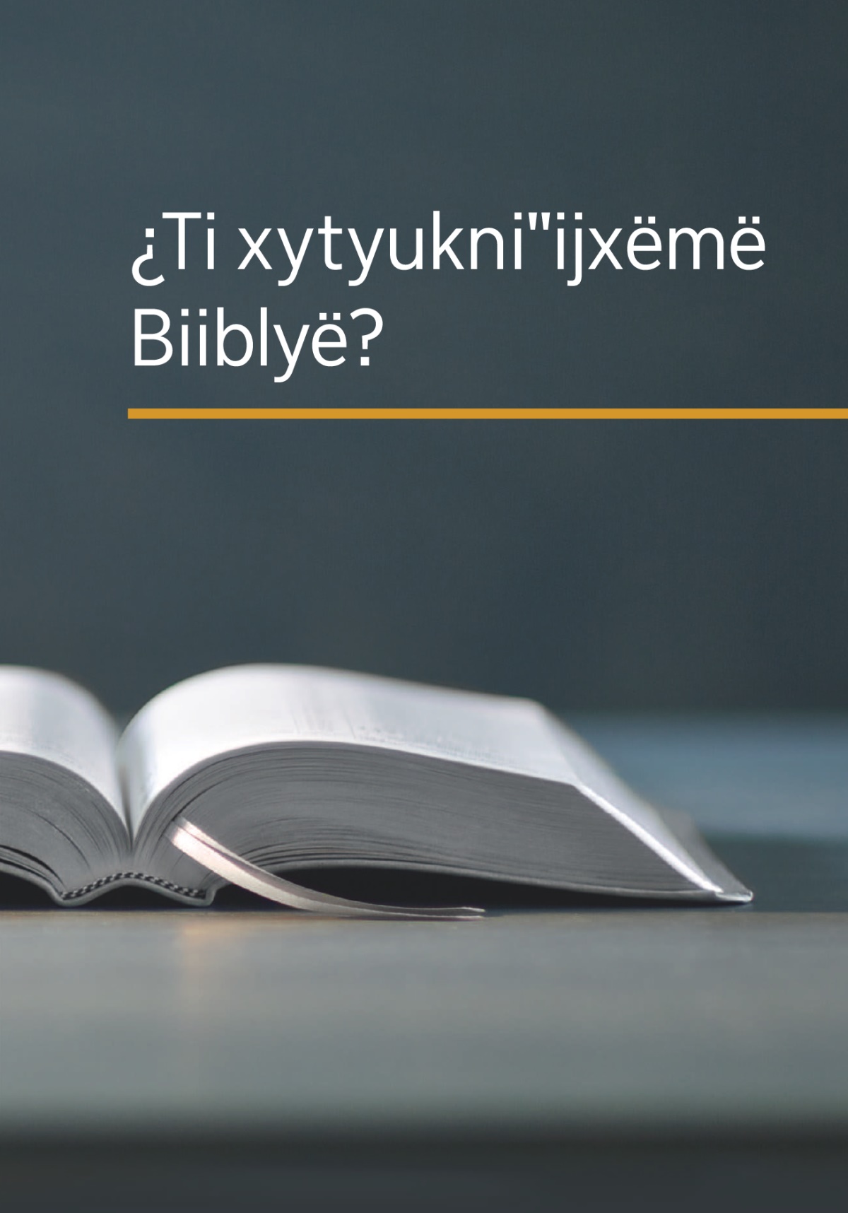 Liibrë ¿Ti xytyukniˈˈijxëmë Biiblyë?