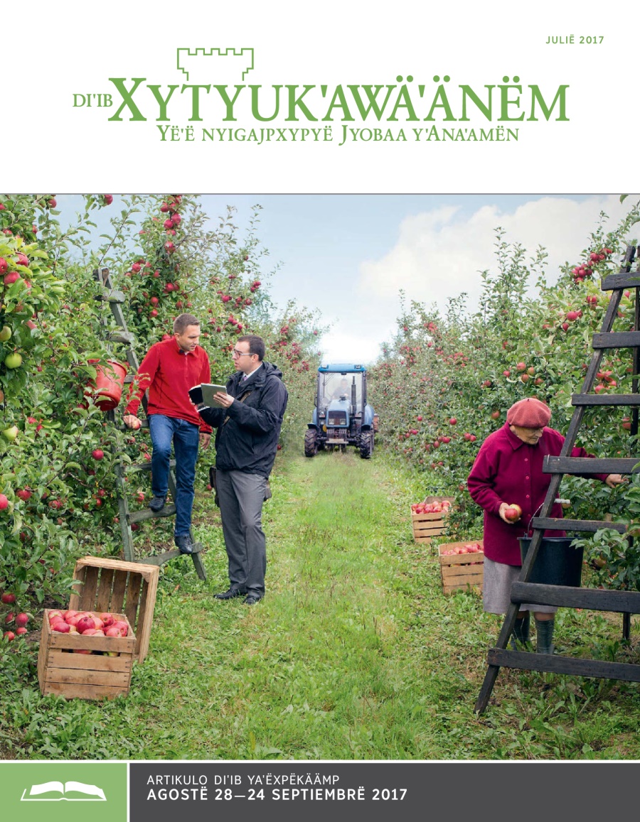 Diˈib Xytyukˈawäˈänëm, julië 2017