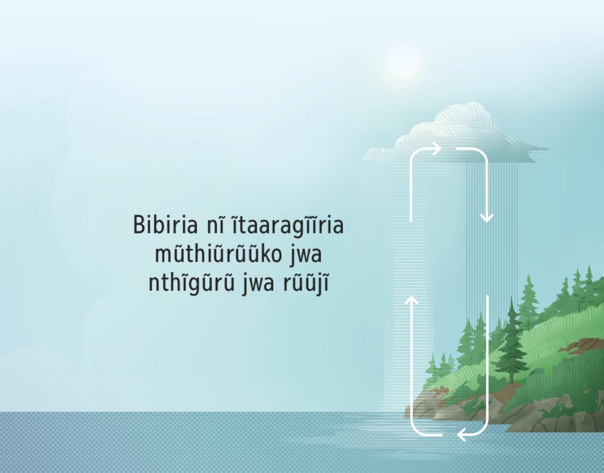Bibiria nĩ ĩtaaragĩĩria mũthiũrũũko jwa nthĩgũrũ jwa rũũjĩ. Tũmĩguĩ tworoteete mũthiũrũũko jwa rũũjĩ gatĩgatĩ ka nthĩgũrũ na rĩera.