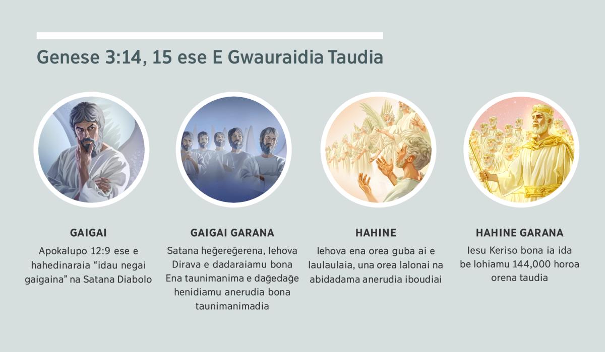 Laulau: “Genese 3:14, 15 ese E Gwauraidia Taudia” 1. Gaigai: Satana, gwau-edeede aneruna ta heḡereḡerena e herevalaia. 2. Gaigai garana: Gwau-edeede anerudia. 3. Hahine: Abidadama anerudia. 4. Hahine garana: Iesu Keriso bona ia ida guba ai be lohiamu horoa taudia. E vara ḡaudia na paragraf 4, 5, 7, bona 8 ese e herevalaidia.