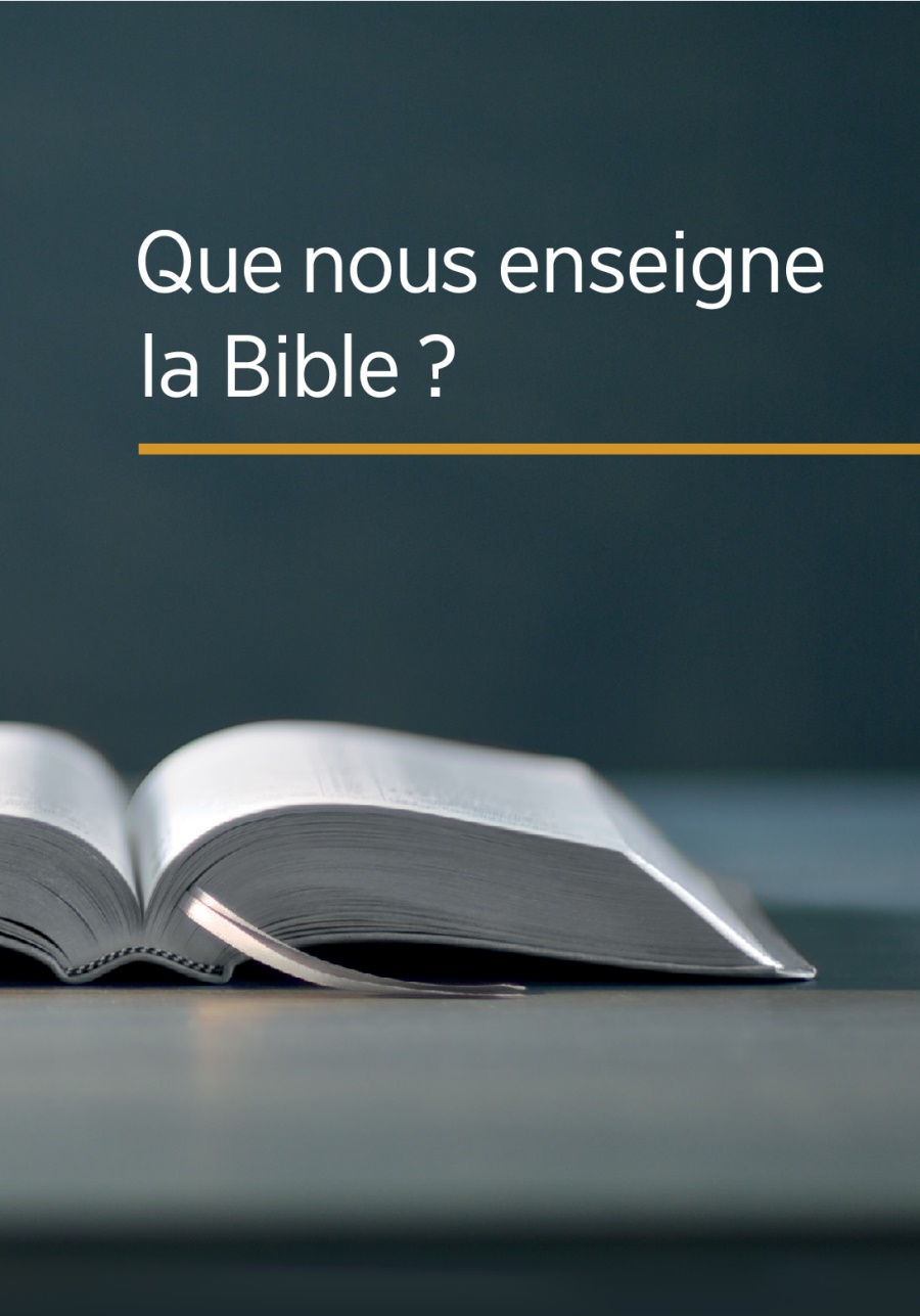 Ki Labib Kapav Ansegn Nou?