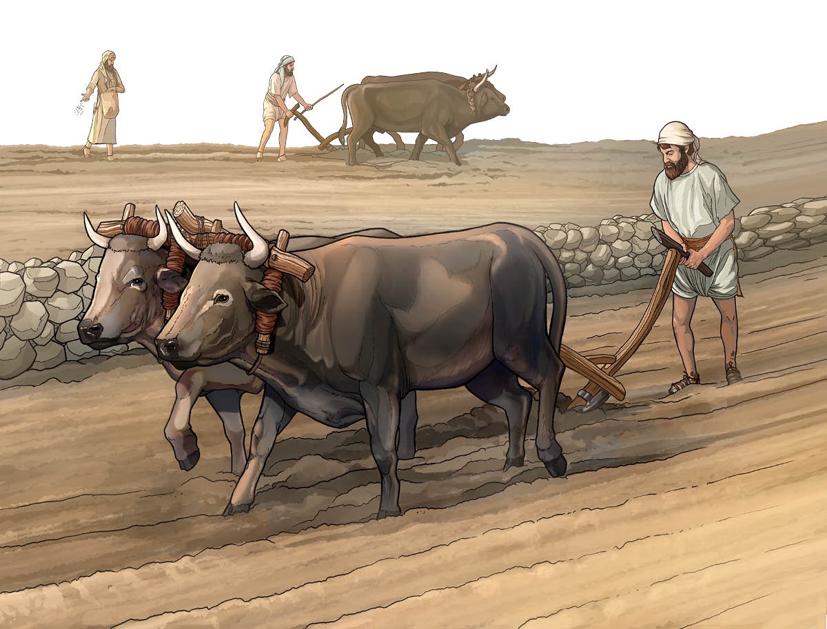 Enn labourer fixe drwat devan li ek pa les li distrer par seki ena deryer li