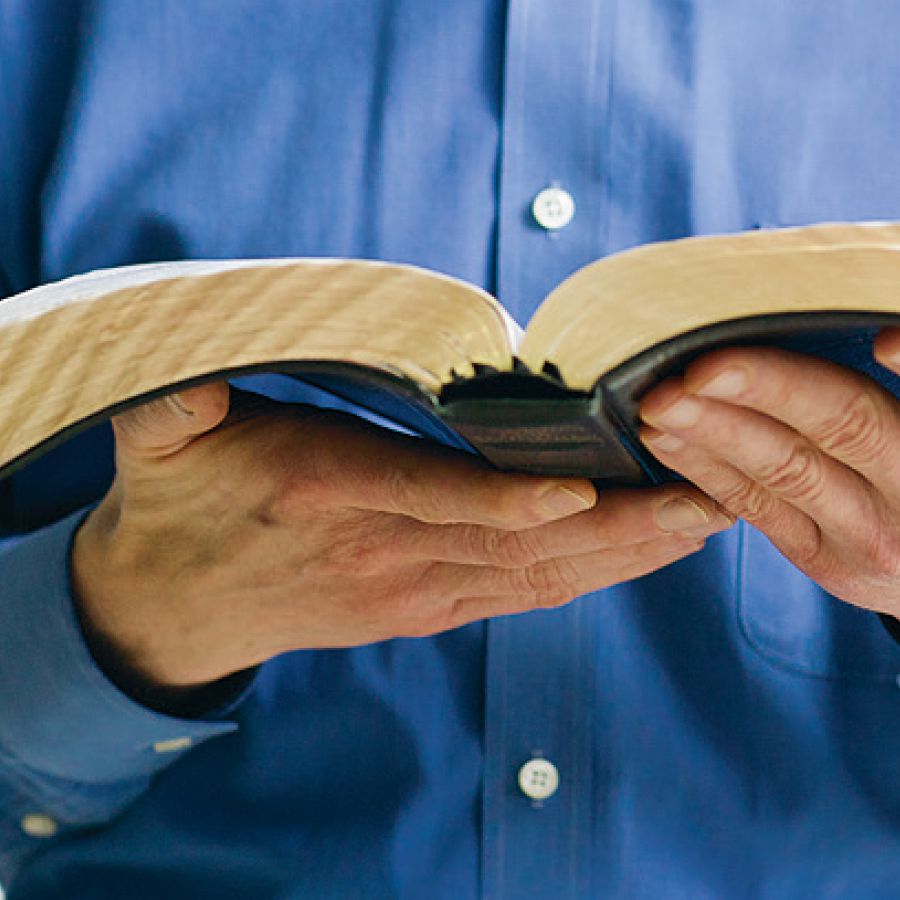 Enn misie pe trap bann Lekritir Sakre