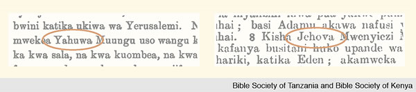 [Sary nahazoan-dalana]