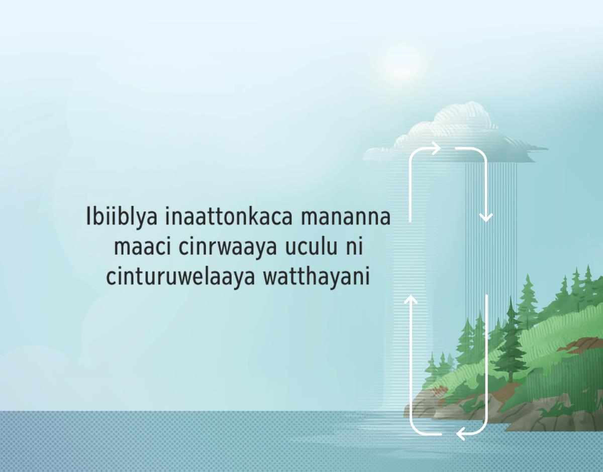 Ibiiblya inaattonkaca mananna maaci cinrwaaya uculu ni cinturuwelaaya watthayani. Iseeta cinthoonyera mananna maaci cinrwaaya uculu ni cinturuwelaaya watthayani.