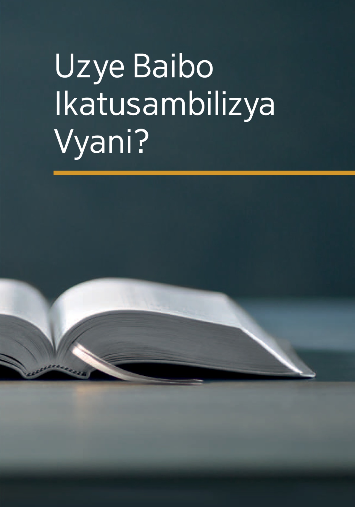 Ibuku lya kuti ‘Uzye Baibo ikatusambilizya vyani?’