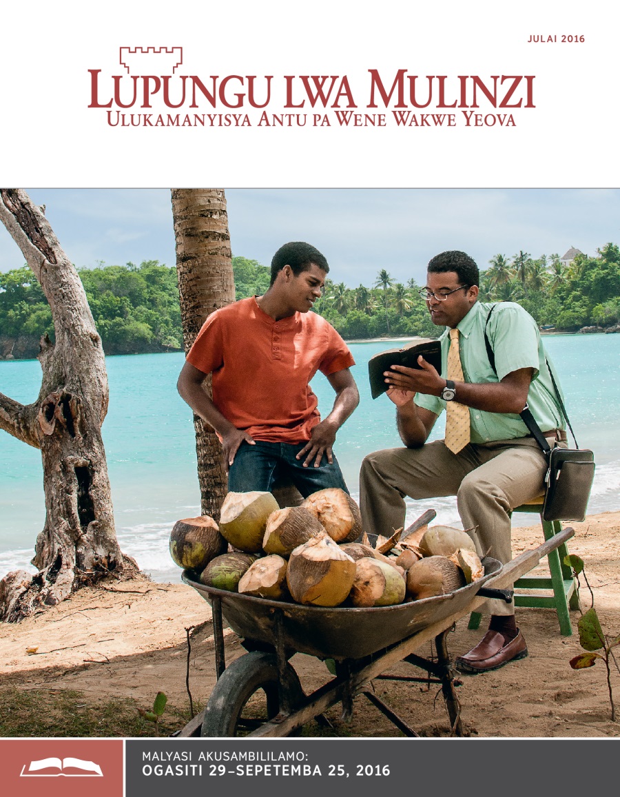 Lupungu Lwa Mulinzi, Julai 2016