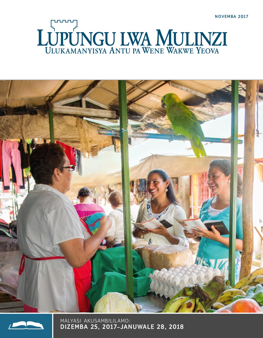 Lupungu Lwa Mulinzi Lwa Kusambililamo, Novemba 2017