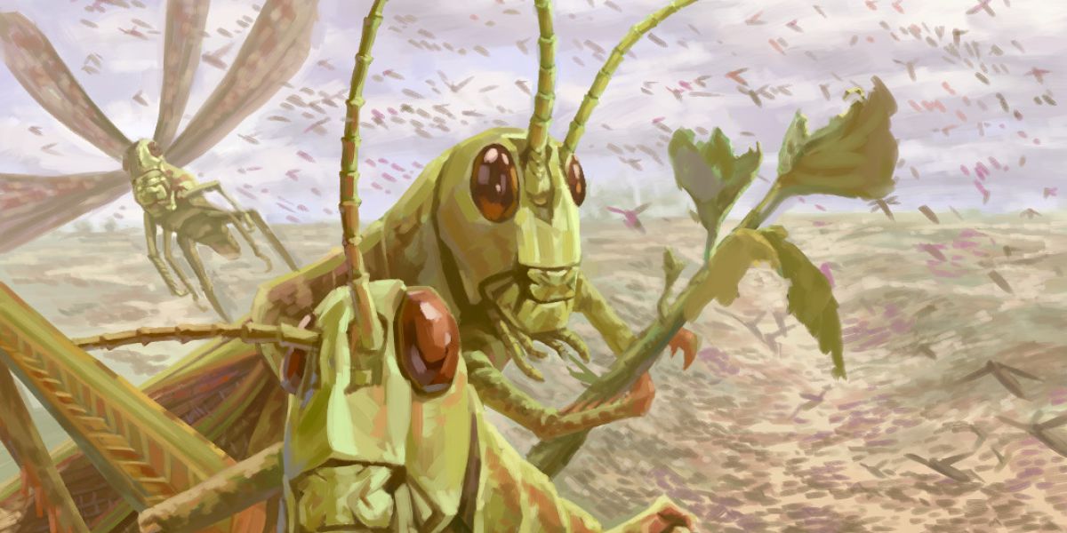 Kruhkru ailal