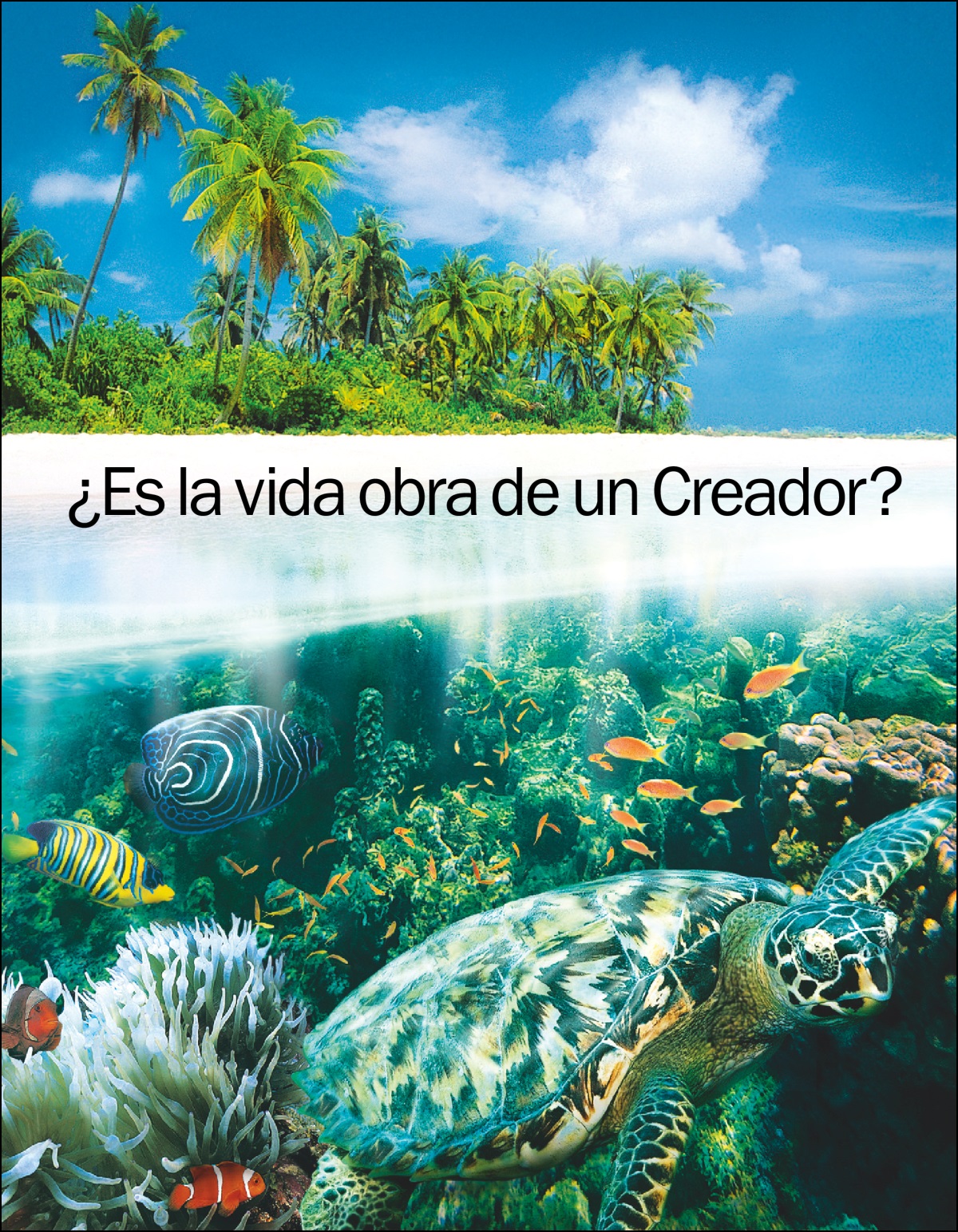 “¿Es la vida obra de un Creador?” wauhkataya tara ba.