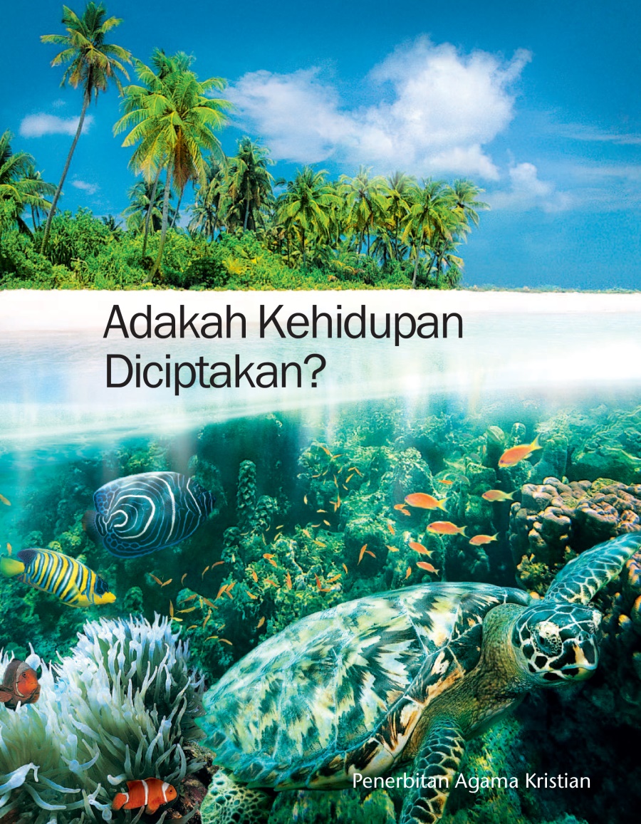 Adakah Kehidupan Diciptakan?