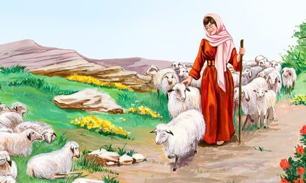 Rahel menjaga biri-biri ayahnya