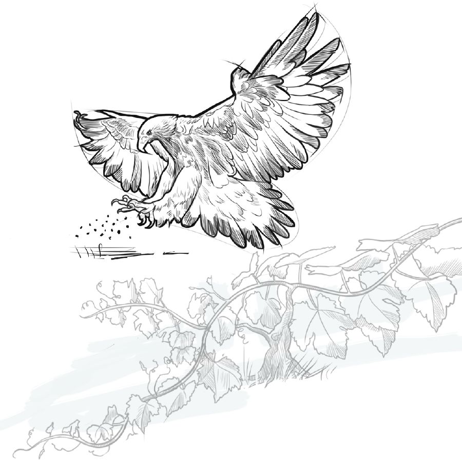 Kolaj: 1. Seekor burung helang menabur biji benih. 2. Pokok anggur yang renek.