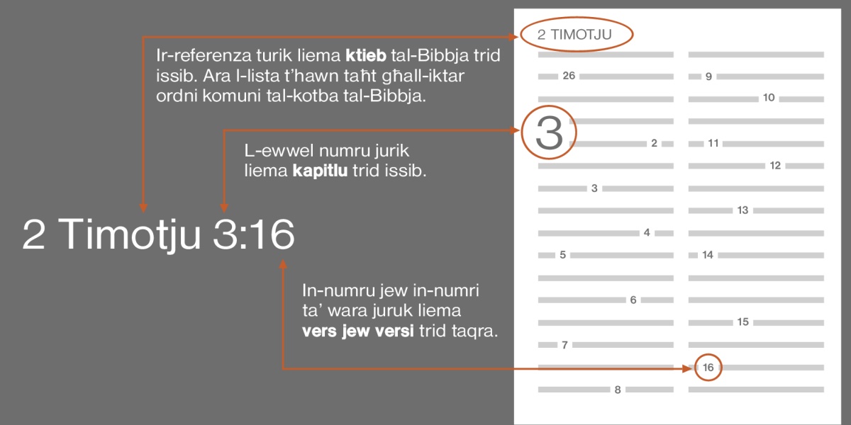 Kif issib versi mill-Bibbja u bħala eżempju hemm it-​2 Timotju 3:16. Din ir-referenza tgħidlek liema ktieb tal-Bibbja għandek tfittex, bħall-ktieb tat-​2 Timotju (ara l-lista t’hawn taħt biex tara kif normalment ikunu l-kotba tal-Bibbja wara xulxin). L-ewwel numru jgħidlek il-kapitlu, pereżempju kapitlu 3. In-numru jew numri taʼ wara juruk liema vers jew versi trid taqra, pereżempju vers 16.