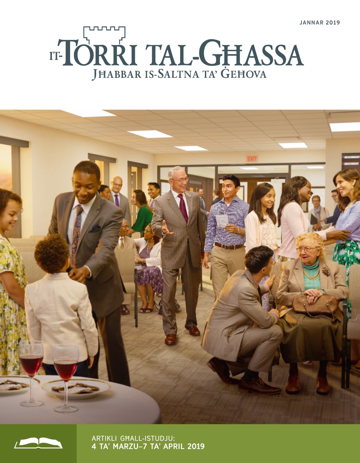 Edizzjoni għall-istudju tat-Torri tal-Għassa, Jannar 2019