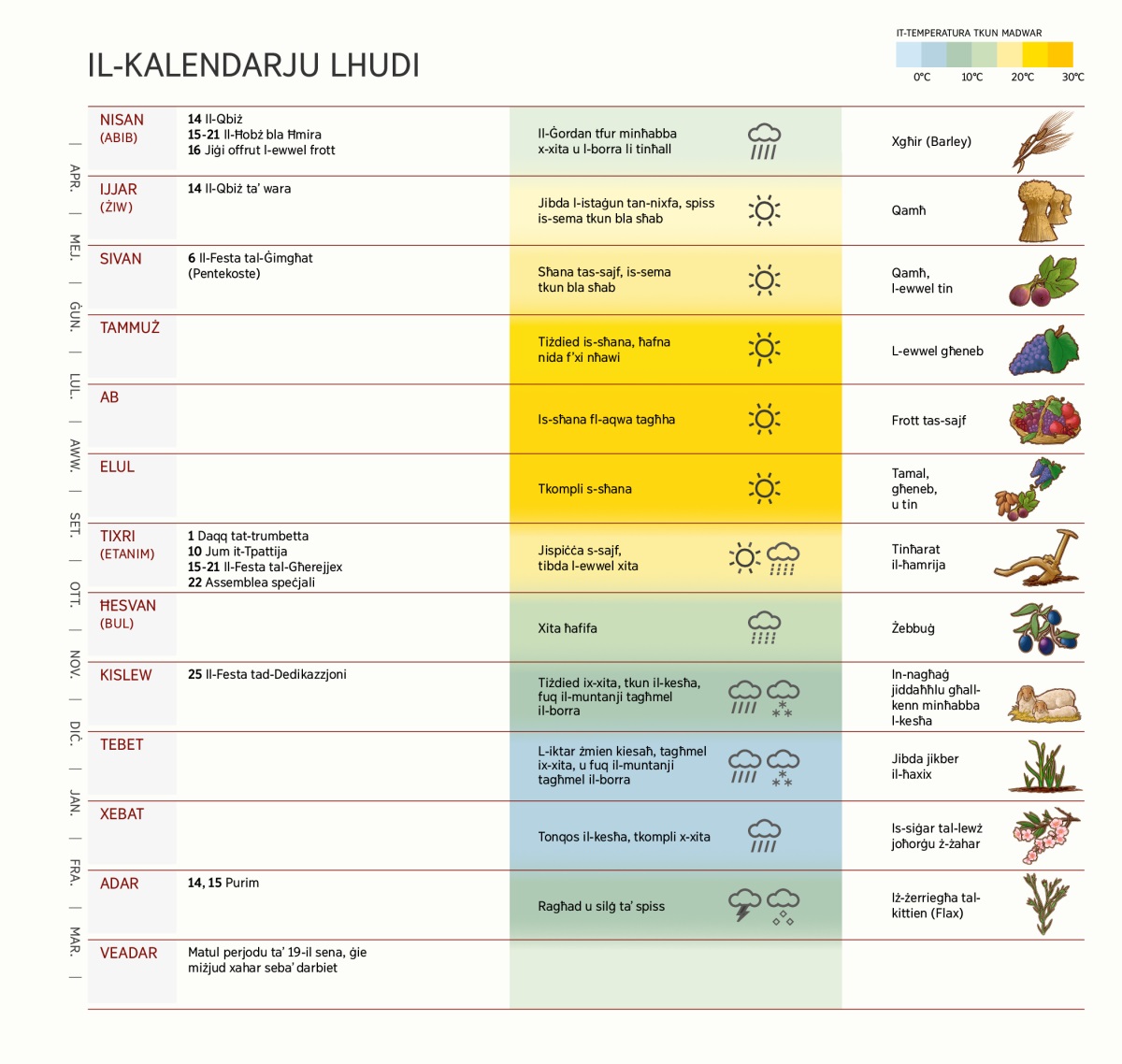 Chart tal-​kalendarju Lhudi li turi x-​xhur, il-​festi u l-​affarijiet oħrajn li skont il-​liġi kellhom jagħmlu, it-​temp, u l-​ħxejjex u l-​frott.