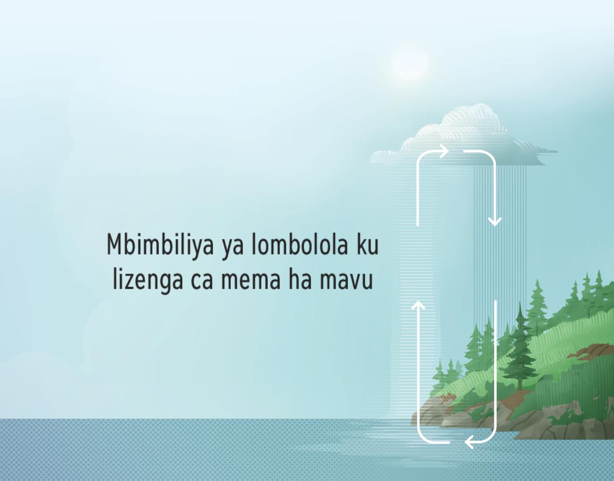 Mbimbiliya ya lombolola ku lizenga ca mema ha mavu. Vipalo, via muesa ku lizenga ca mema ku tunda ha mavu kuya ha vukambuila na ku hilukamo.
