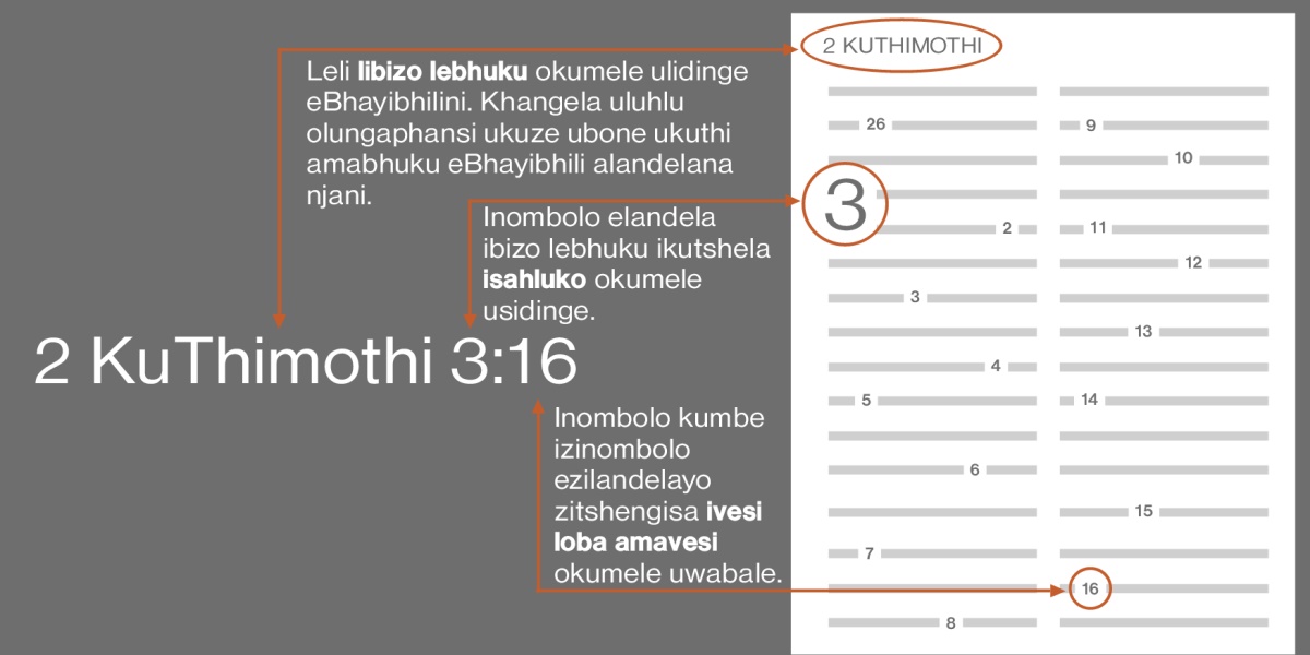 Ungawathola njani amavesi eBhayibhilini ngokwesibonelo, u-2 Thimothi 3:16. Ibizo lebhuku leBhayibhili okumele ulivule, ngu-2 Thimothi (khangela uluhlu olutshengisa amabhuku eBhayibhili ngokulandelana kwawo). Inombolo yokuqala ikutshela isahluko okumele usivule, njengokuthi isahluko 3. Inombolo loba izinombolo ezilandelayo yivesi kumbe amavesi okumele uwabale, ngokwesibonelo uvesi 16.