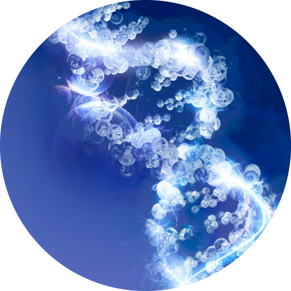 I-DNA