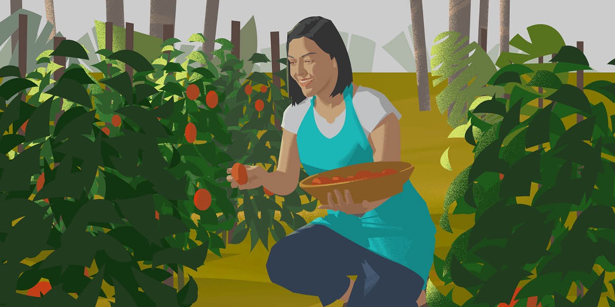 एक जना महिला फलफूल टिप्दै