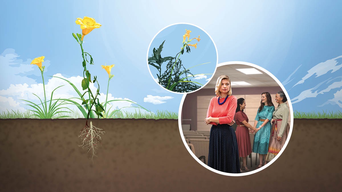 चित्रहरूको सँगालो: १. असल जमिनमा जरा गाडेर सप्रिरहेको फूल। २. त्यही फूललाई झारहरूले निसासिदिन्छ। ३. तीन जना बहिनी राज्यभवनमा हाँसीखुसी कुरा गरिरहेका छन्‌ तर एउटी बहिनी एक्लै उभिरहेकी छिन्‌ र रिसाएजस्तो देखिन्छिन्‌।