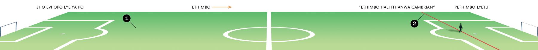 Oshuuliki shethimbo shi thike pamwe nokapale ketanga, tashi ulike ethimbo evi lye ya po, sigo opethimbo ndyoka hali ithanwa Cambrian explosion