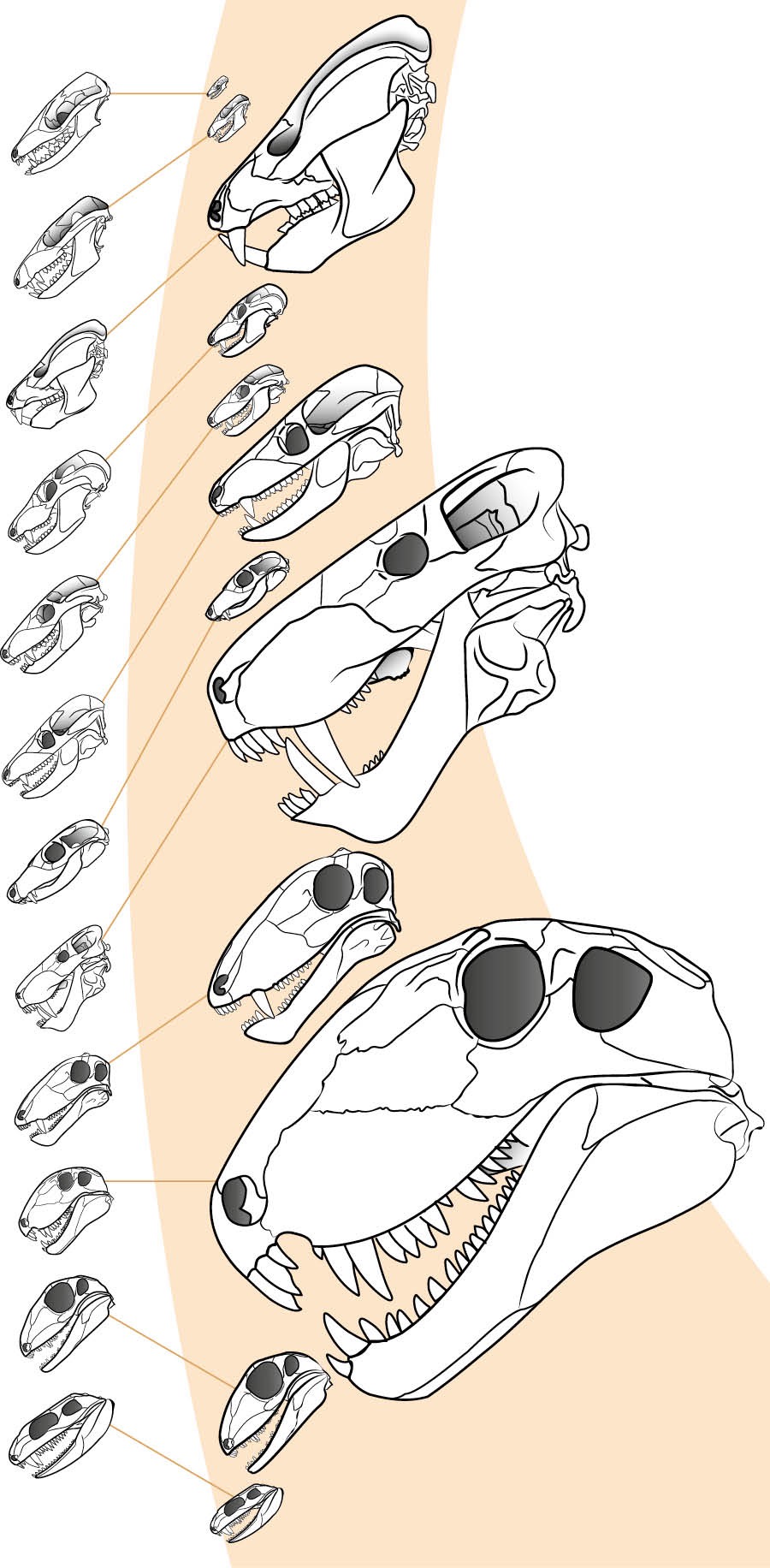 Iikulunima yomamanya mbyoka tayi adhika muumbo wontumba nosho wo uunene wiinima