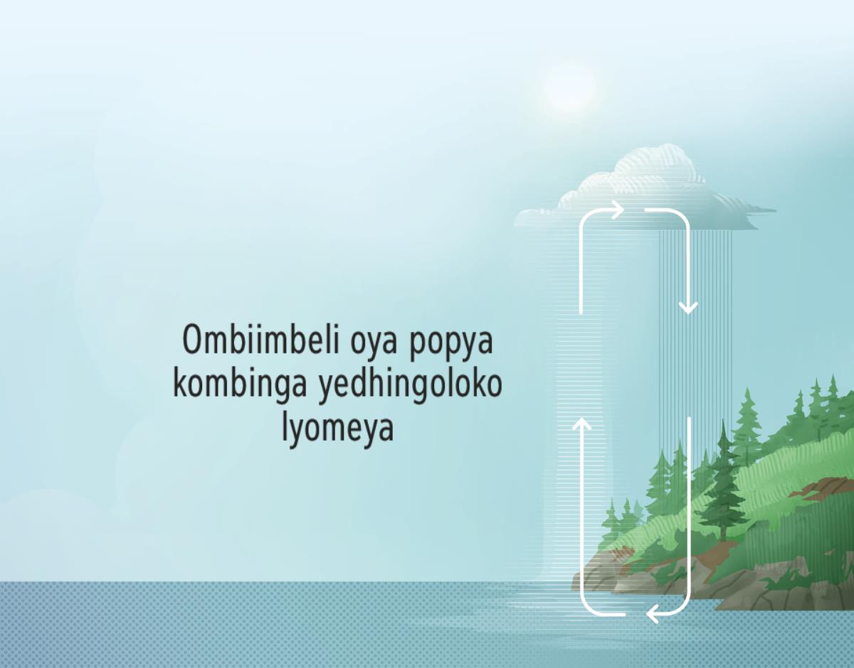 Ombiimbeli oya popya kombinga yedhingoloko lyomeya. Uukuti tawu ulike edhingoloko lyomeya pokati kegulu nevi.