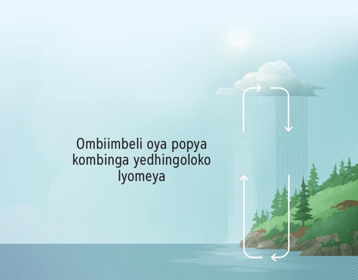 Ombiimbeli oya popya kombinga yedhingoloko lyomeya. Uukuti tawu ulike edhingoloko lyomeya pokati kegulu nevi.