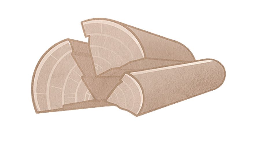 Iikuni yokoshiyambelo