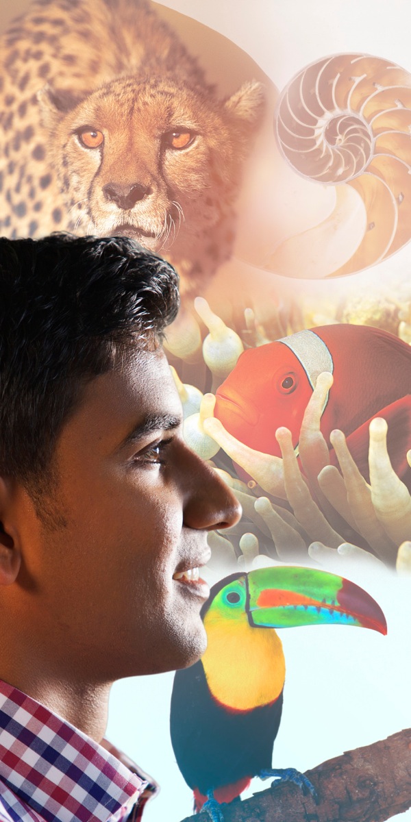 Omulumentu omugundjuka ta konenene omalwaala gi ili nogi ili meshito