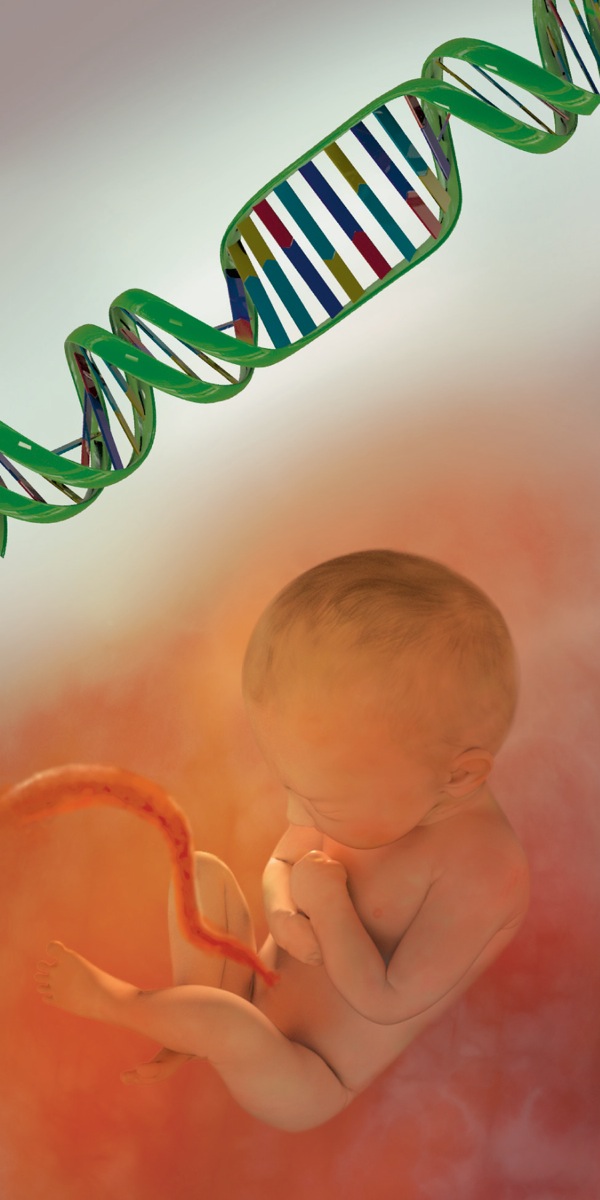 Epando lyo-DNA nengwili lyokanona li li moshivalelo