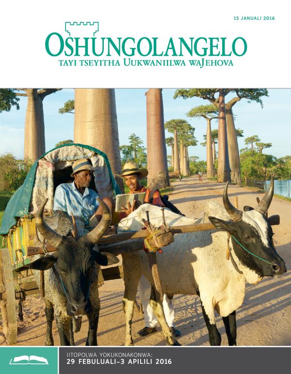 Efo lyokombanda lyOshungolangelo yokukonakonwa, 15 Januali 2016