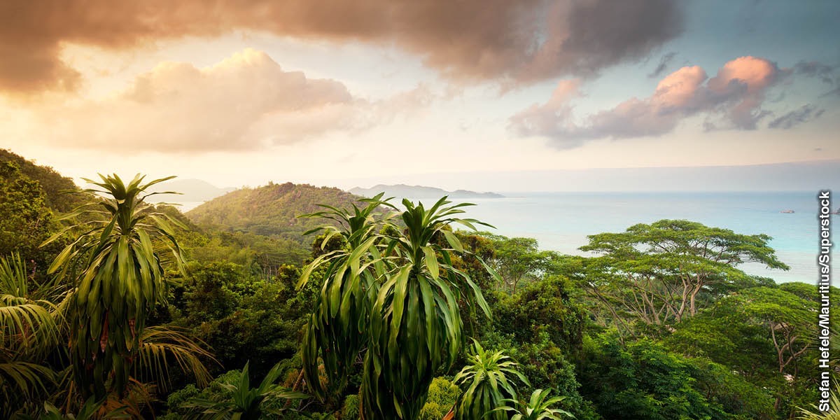 Okantuntu kedhina Praslin, moSeychelles