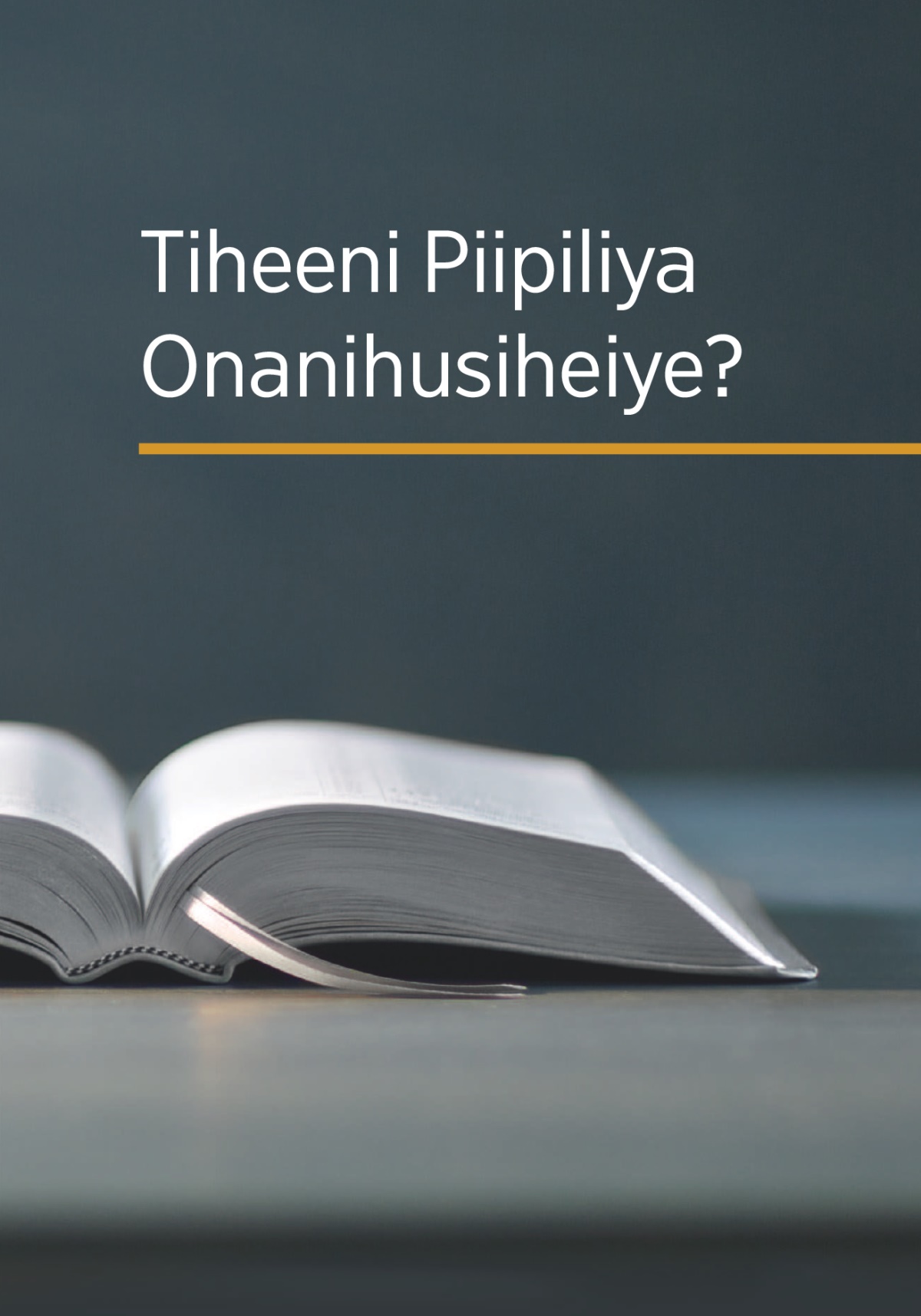 Liivuru ‘Tiheeni Piipiliya Onanihusiheiye?’