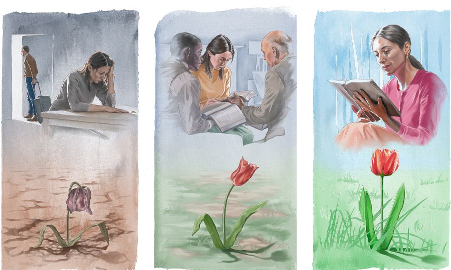 Se tokniuj siuatl melak noyolkokoua ijkuak iueuentsin kikaujteua; tlayekankej iuan nosentlaliaj; kinextia yolseuilistli itech tlen kipoua ipan Biblia