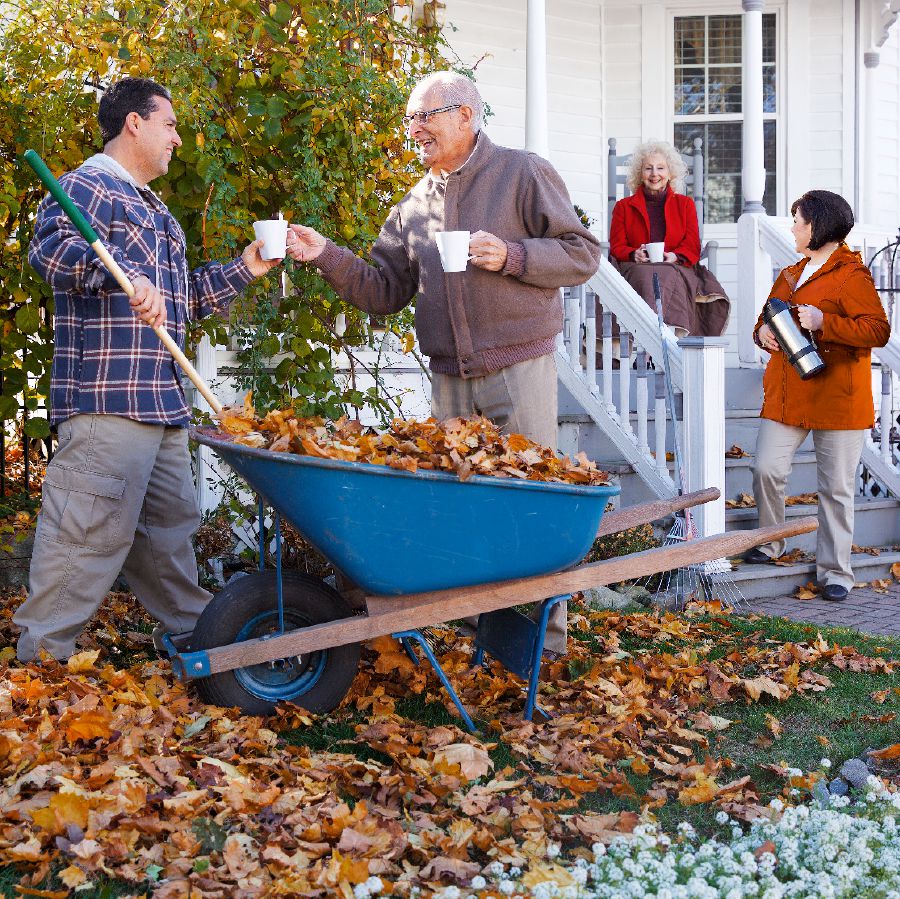 José ba Rose faoma Toni hegöi Wendi