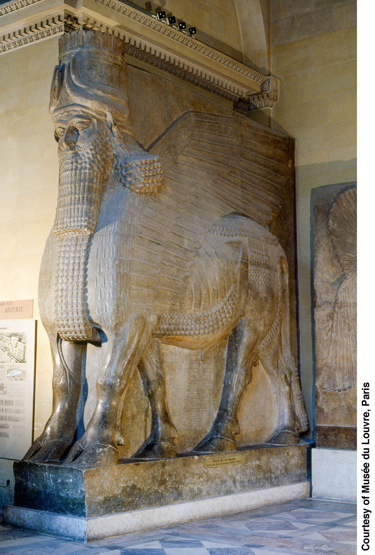 [Illustratie op blz. 955]