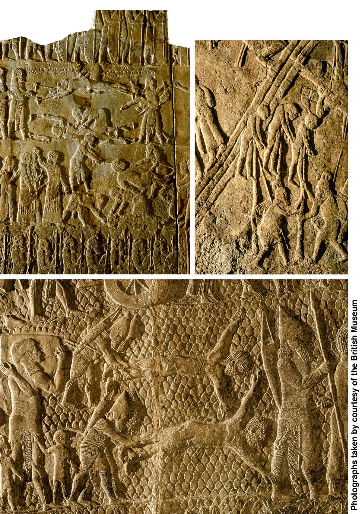 [Illustraties op blz. 958]