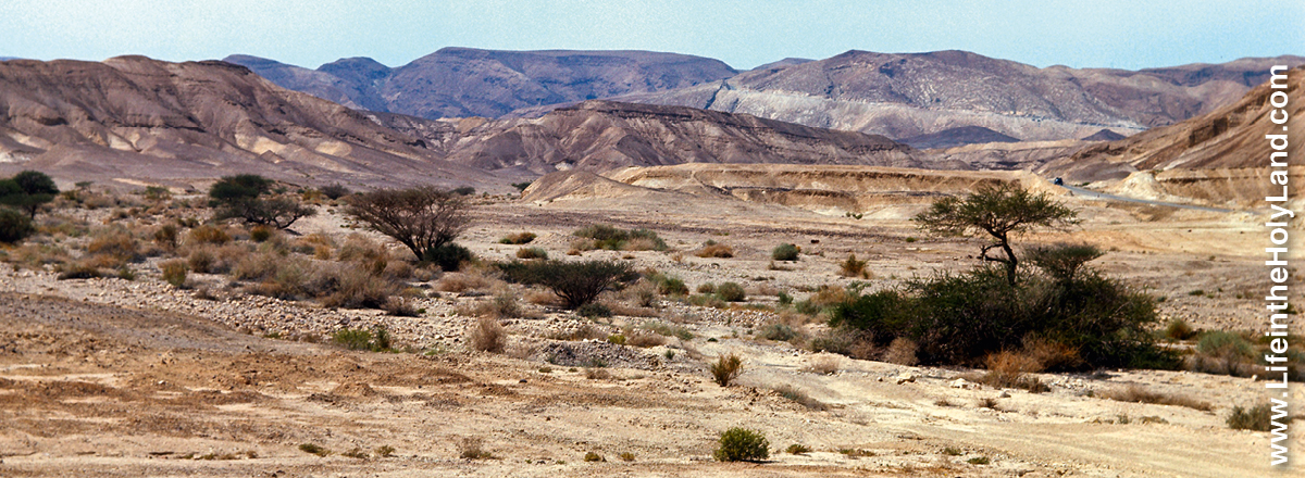 [Illustratie op blz. 424]