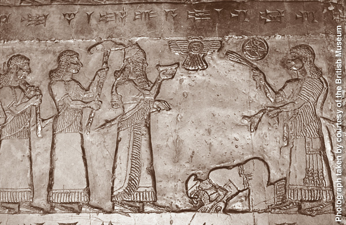 [Illustratie op blz. 774]