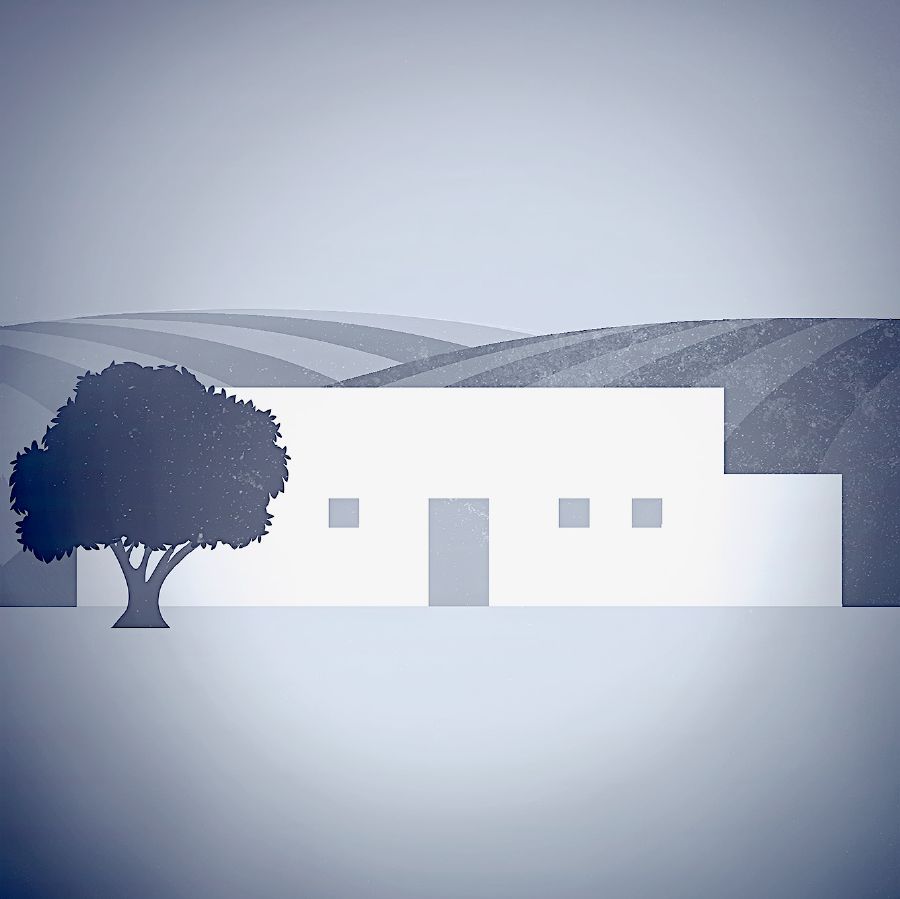 Een groot huis en een korenveld